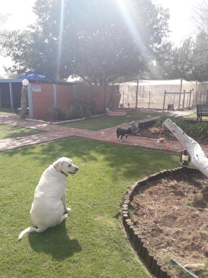Culdesac Guesthouse Oudtshoorn Exteriér fotografie